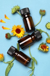 Photo of Bottles of essential oils and beautiful calendula flowers on light blue background, flat lay
