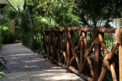 Photo of Wooden railing and beautiful exotic plants growing in tropical jungle on sunny day