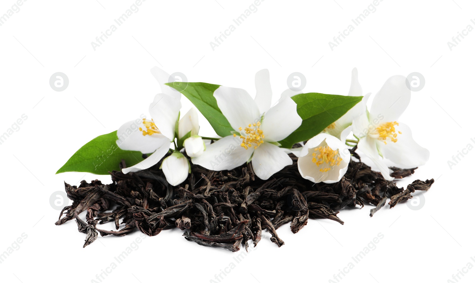 Photo of Dry tea leaves and fresh jasmine flowers on white background