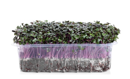 Fresh organic microgreen in plastic container on white background