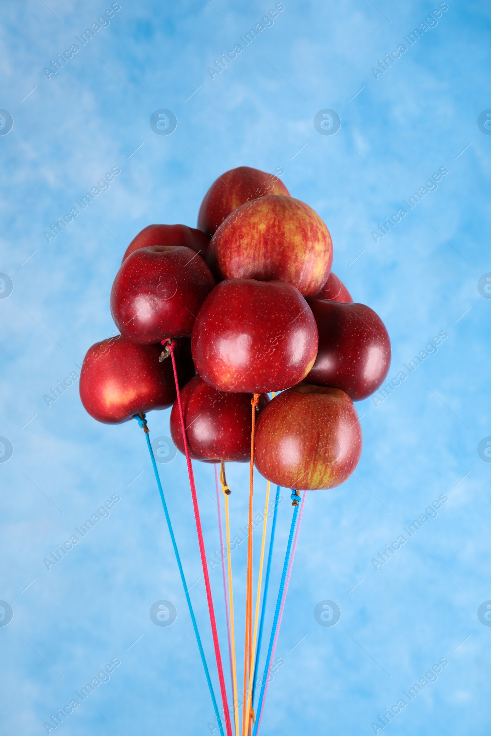 Photo of Ripe red apples hanging on light blue background