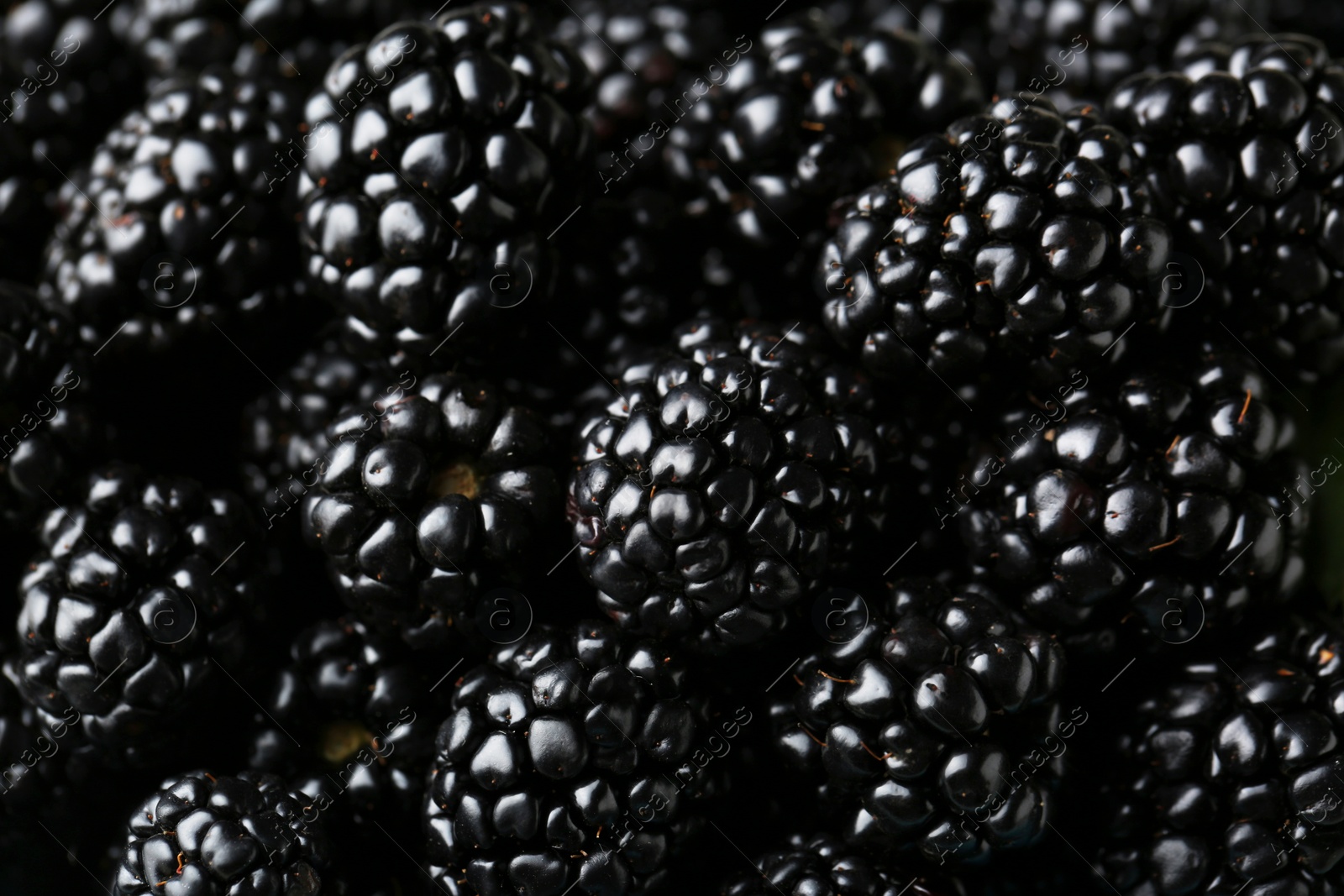 Photo of Pile of tasty ripe blackberries as background, closeup