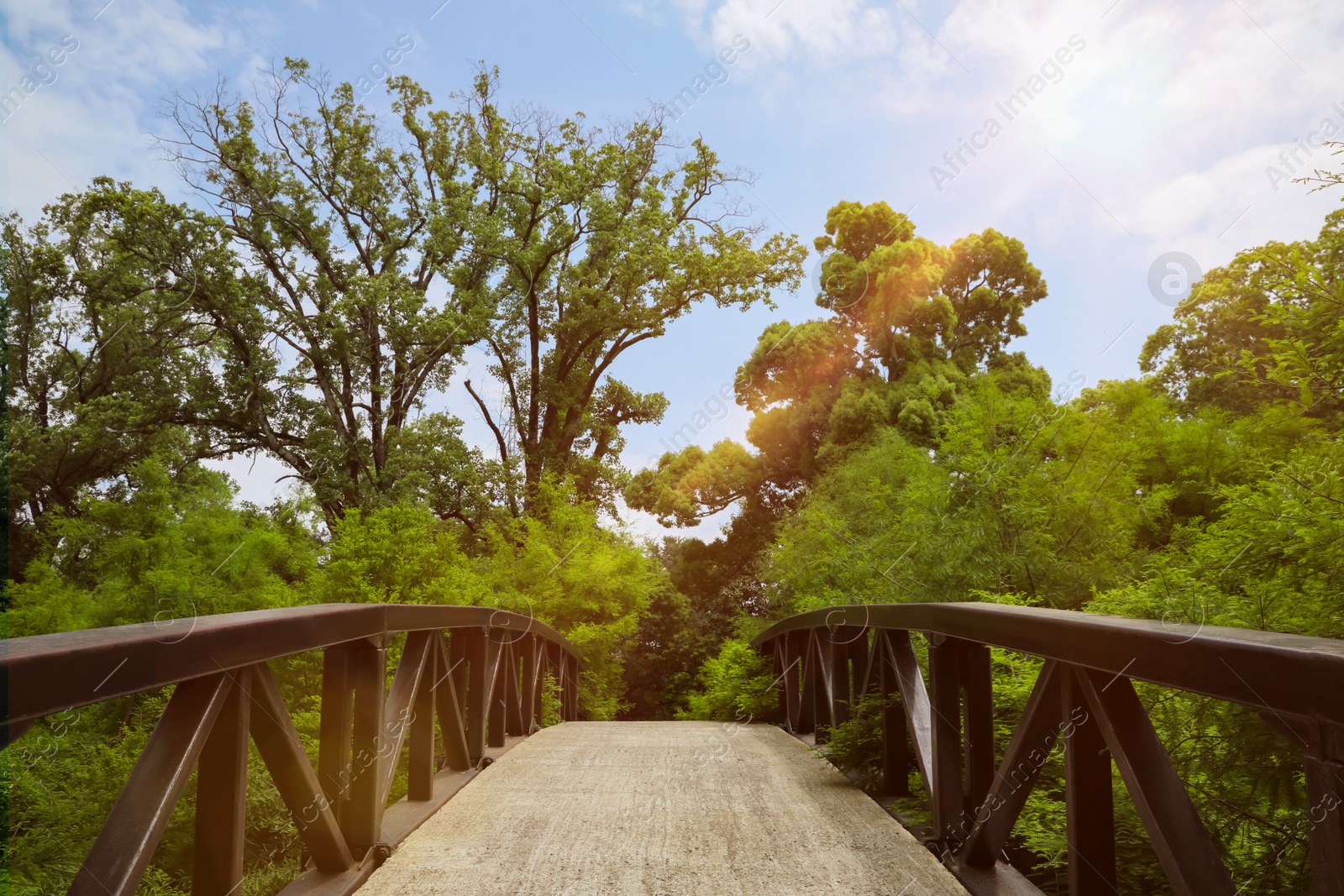 Photo of Picturesque view of bridge in beautiful green park