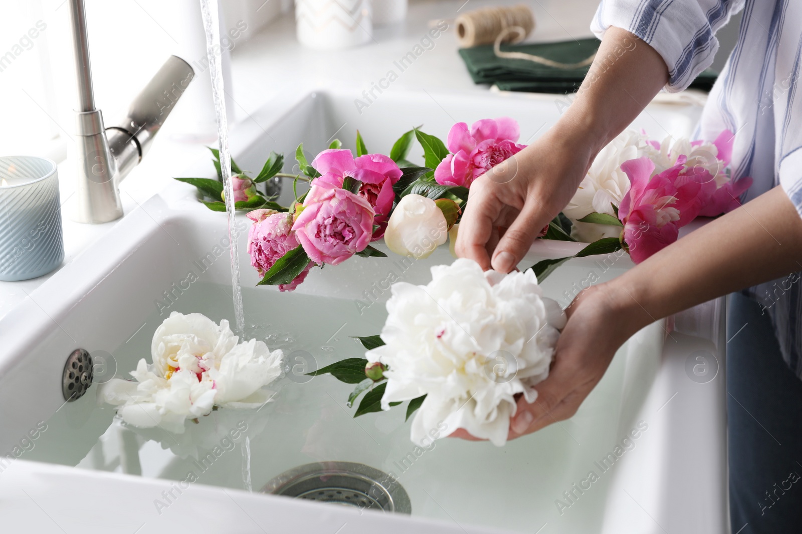 Photo of Woman with beautiful peonies near kitchen sink, closeup