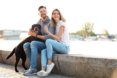 Cute brown labrador retriever with owners outdoors