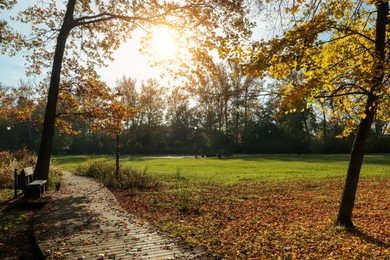 Picturesque view of park with beautiful trees, bench and pathway on sunny day. Autumn season