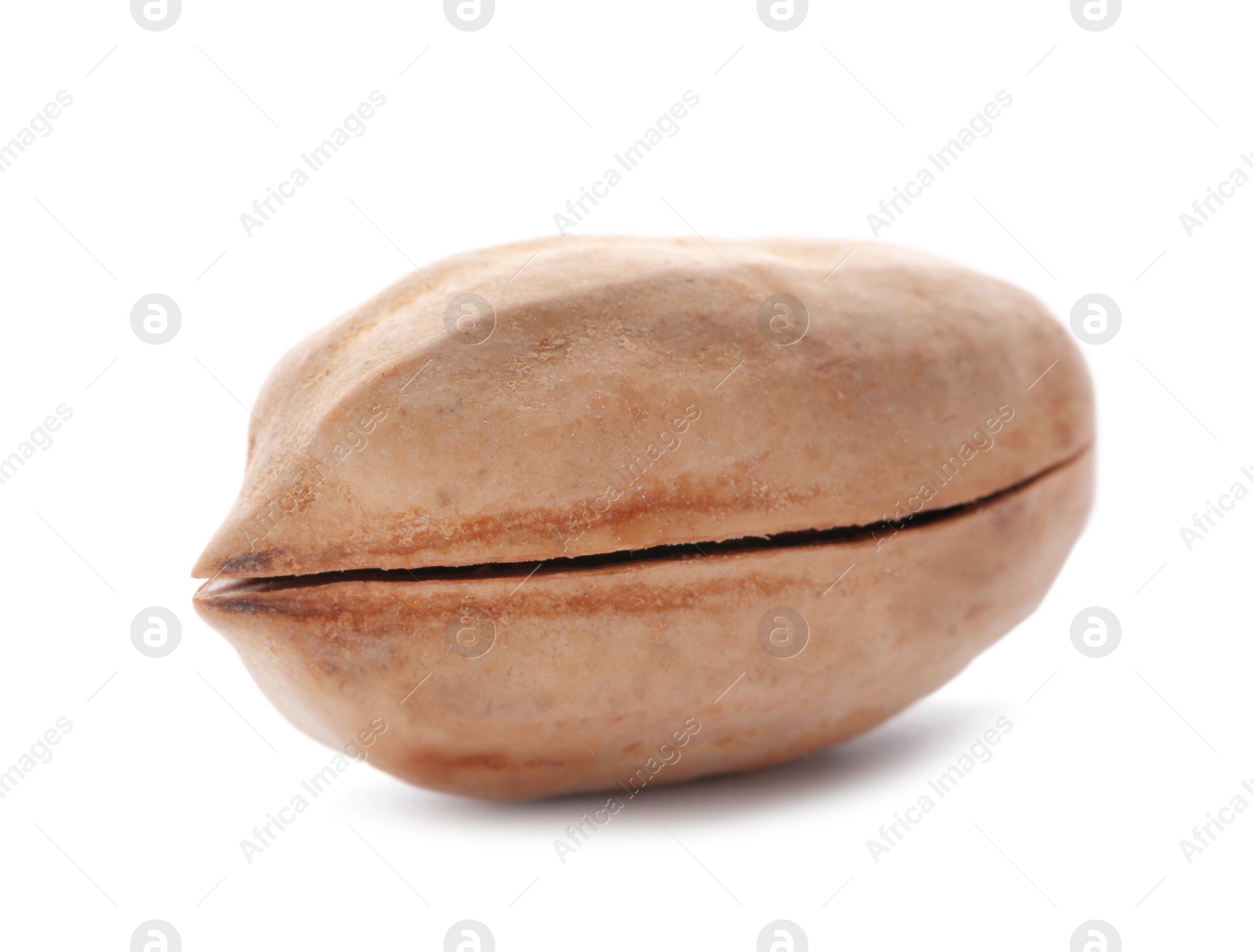 Photo of Pecan nut in shell on white background. Nutritive food