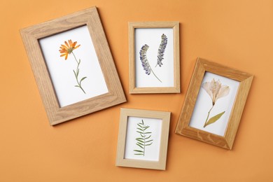 Photo of Frames with pressed dried flowers and plant leaf on orange background. Beautiful herbarium