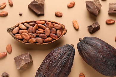 Cocoa pods with beans and chocolate pieces on beige background