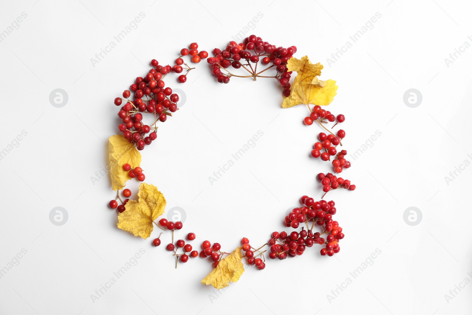 Photo of Red berries and leaves arranged in shape of wreath on white background, flat lay with space for text. Autumnal aesthetic