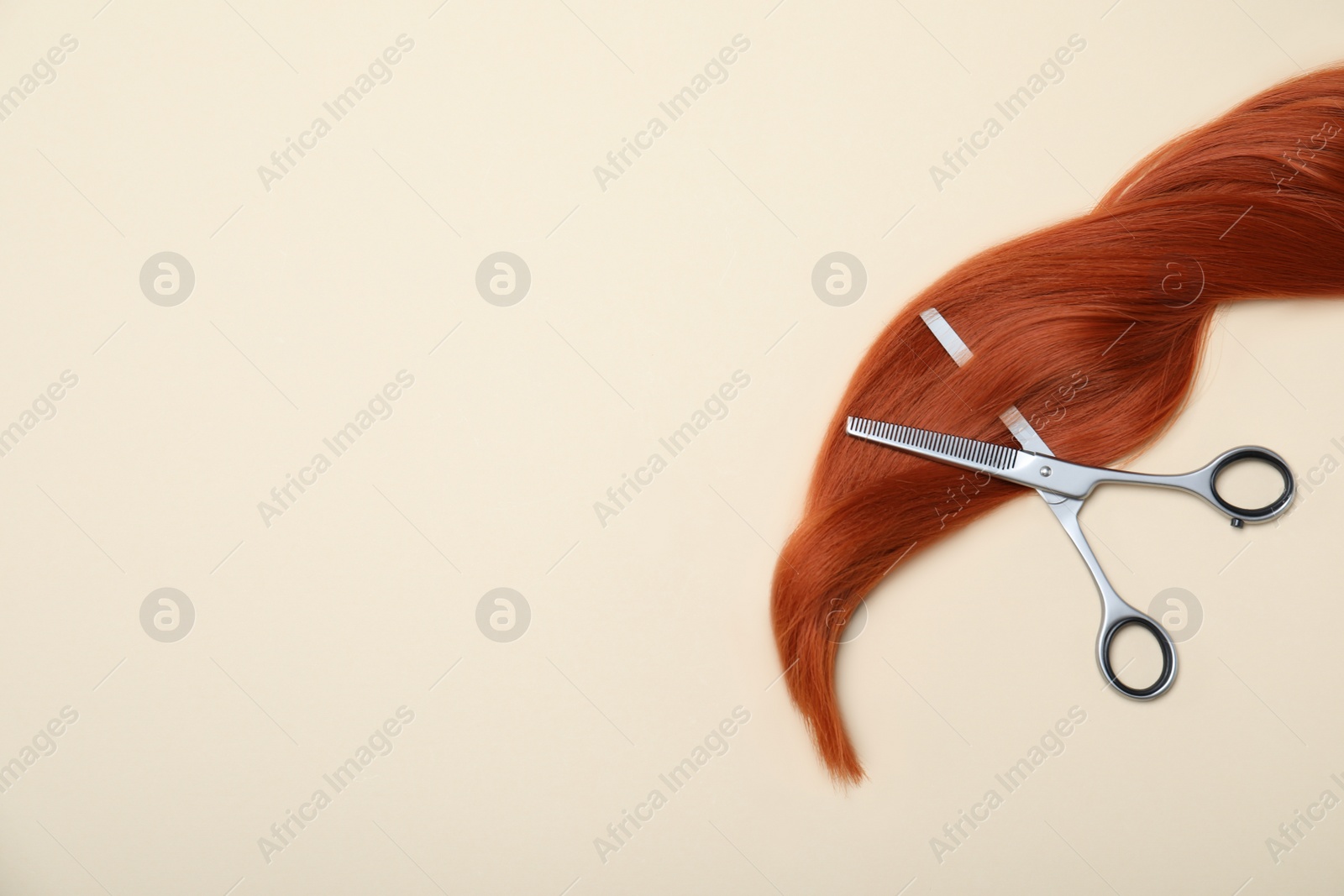 Photo of Professional hairdresser scissors, hair strand and space for text on beige background, flat lay. Haircut tool