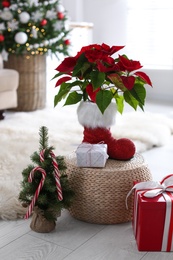 Photo of Beautiful poinsettia, decorative tree and gift boxes indoors. Traditional Christmas flower