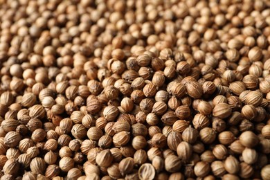 Photo of Many dried coriander seeds as background, closeup