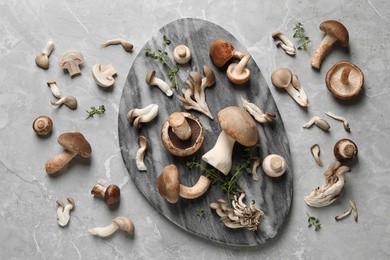 Flat lay composition with fresh wild mushrooms on light grey table