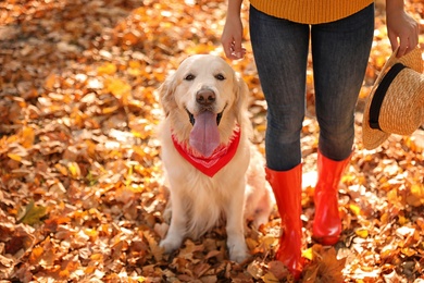 Photo of Woman with Golden retriever in sunny autumn park