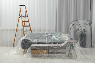 Modern furniture, houseplant covered with plastic film and step ladder at home