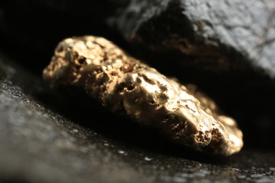 Shiny gold nugget on wet stone, closeup