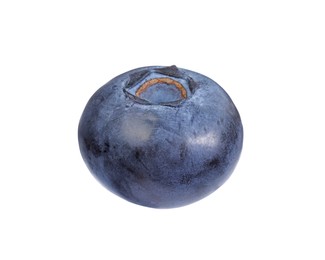 Photo of One fresh ripe blueberry isolated on white