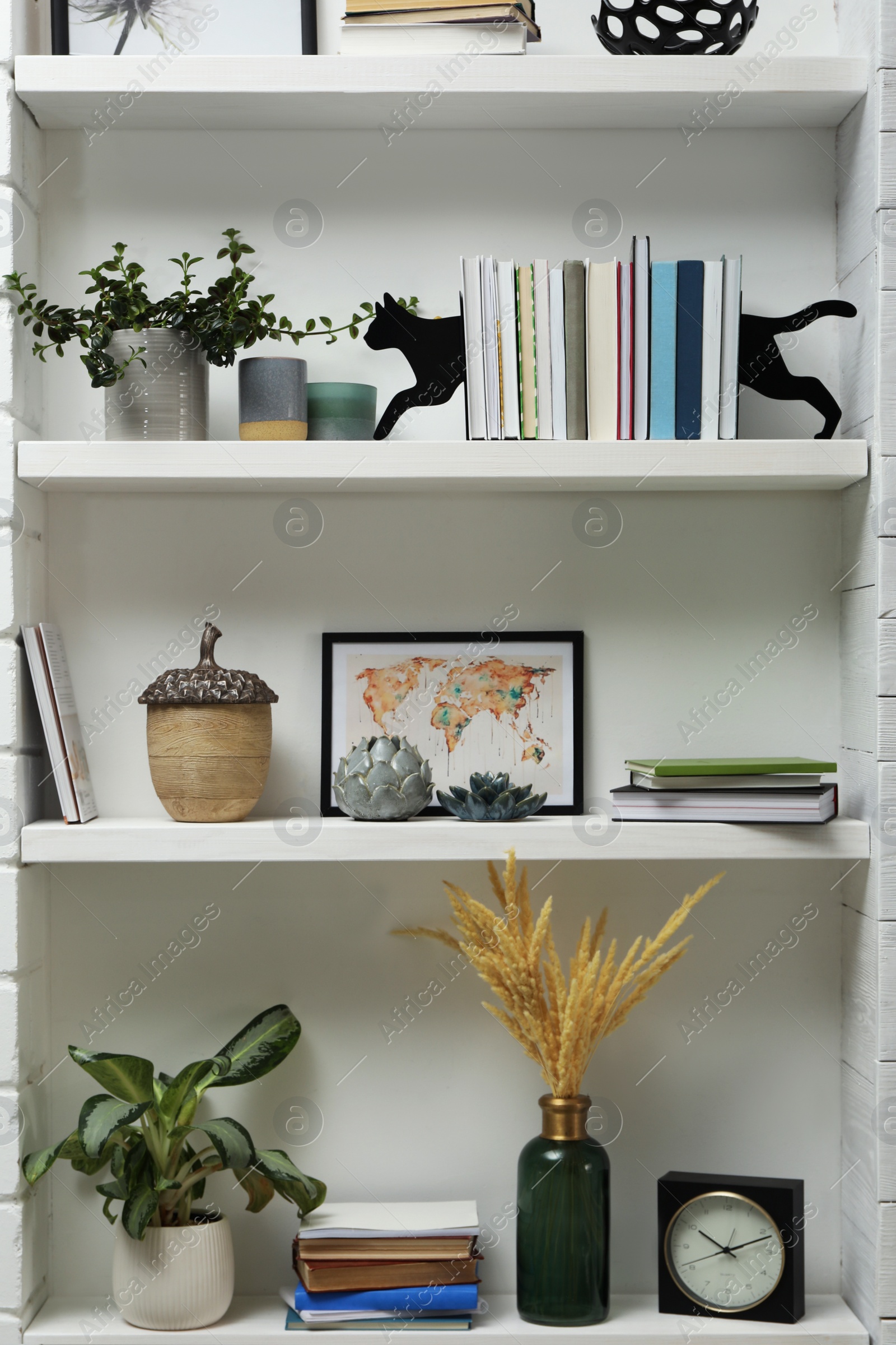 Photo of Cat shaped bookends with books and different decor on shelves indoors. Interior design