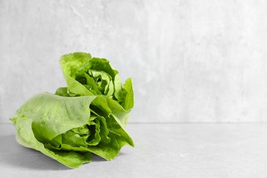 Photo of Fresh green romaine lettuces on light grey table, space for text
