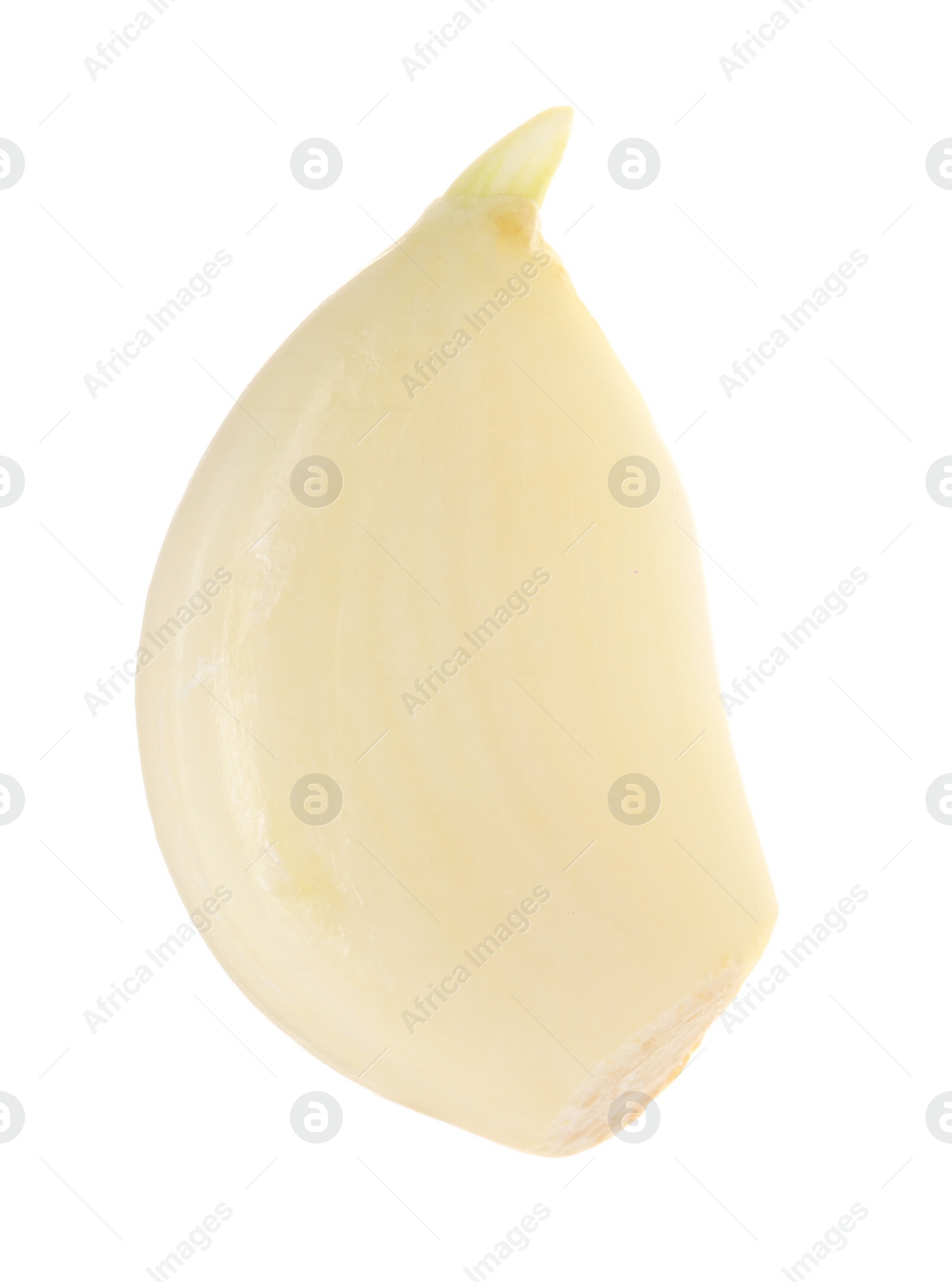 Photo of One peeled clove of garlic isolated on white