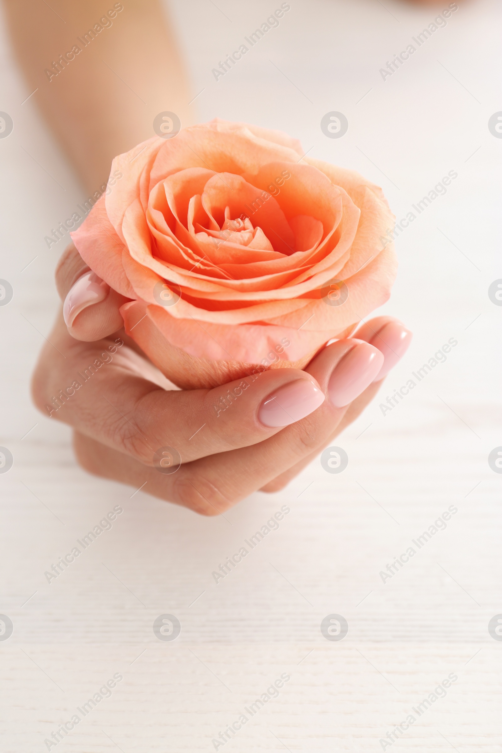 Photo of Closeup view of woman with rose at white table. Spa treatment