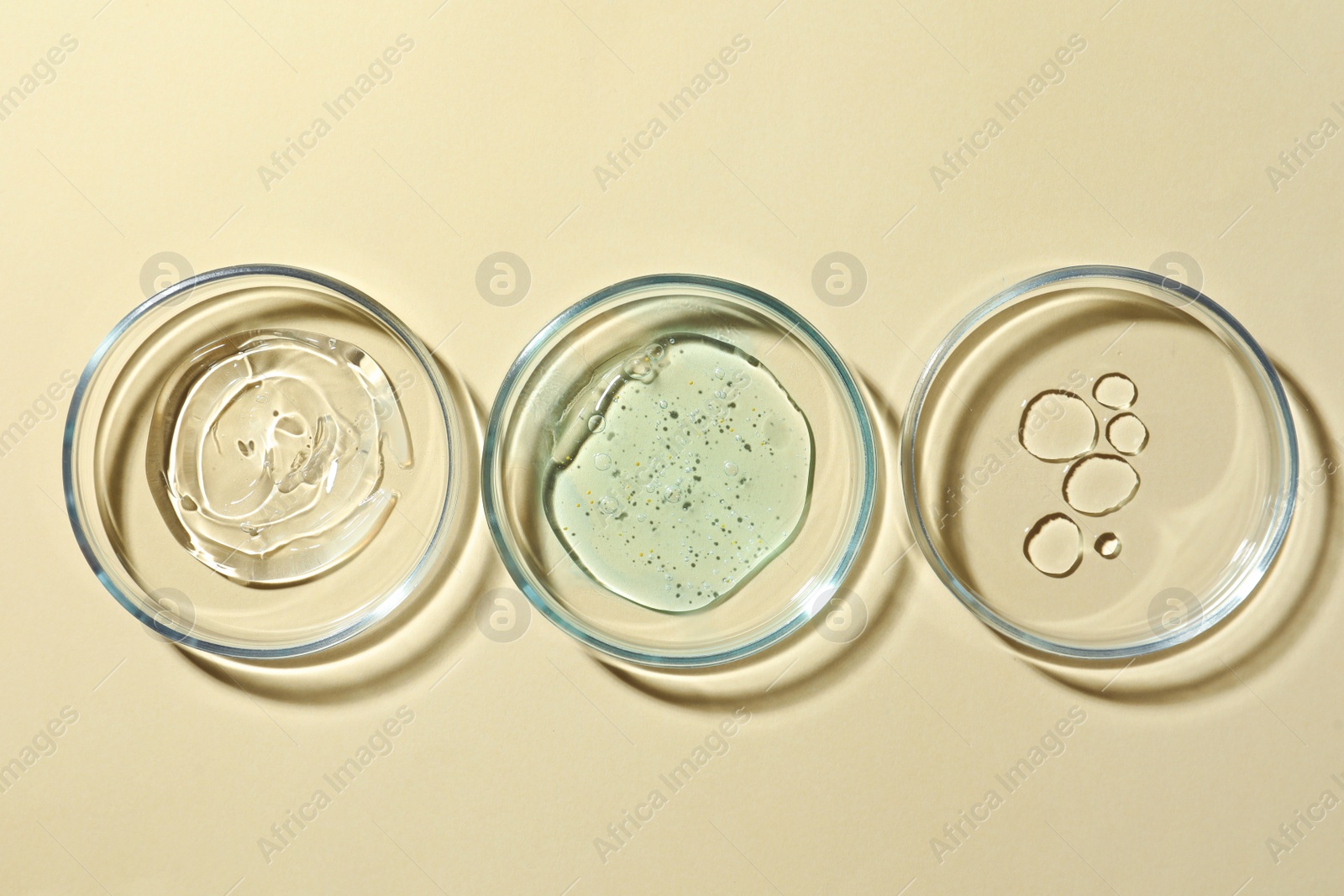 Photo of Many Petri dishes and cosmetic products on beige background, flat lay