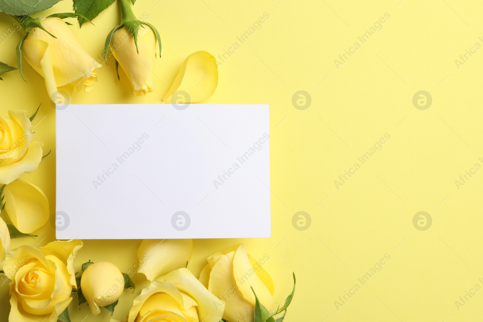 Photo of Beautiful roses, petals and blank card on yellow background, flat lay. Space for text