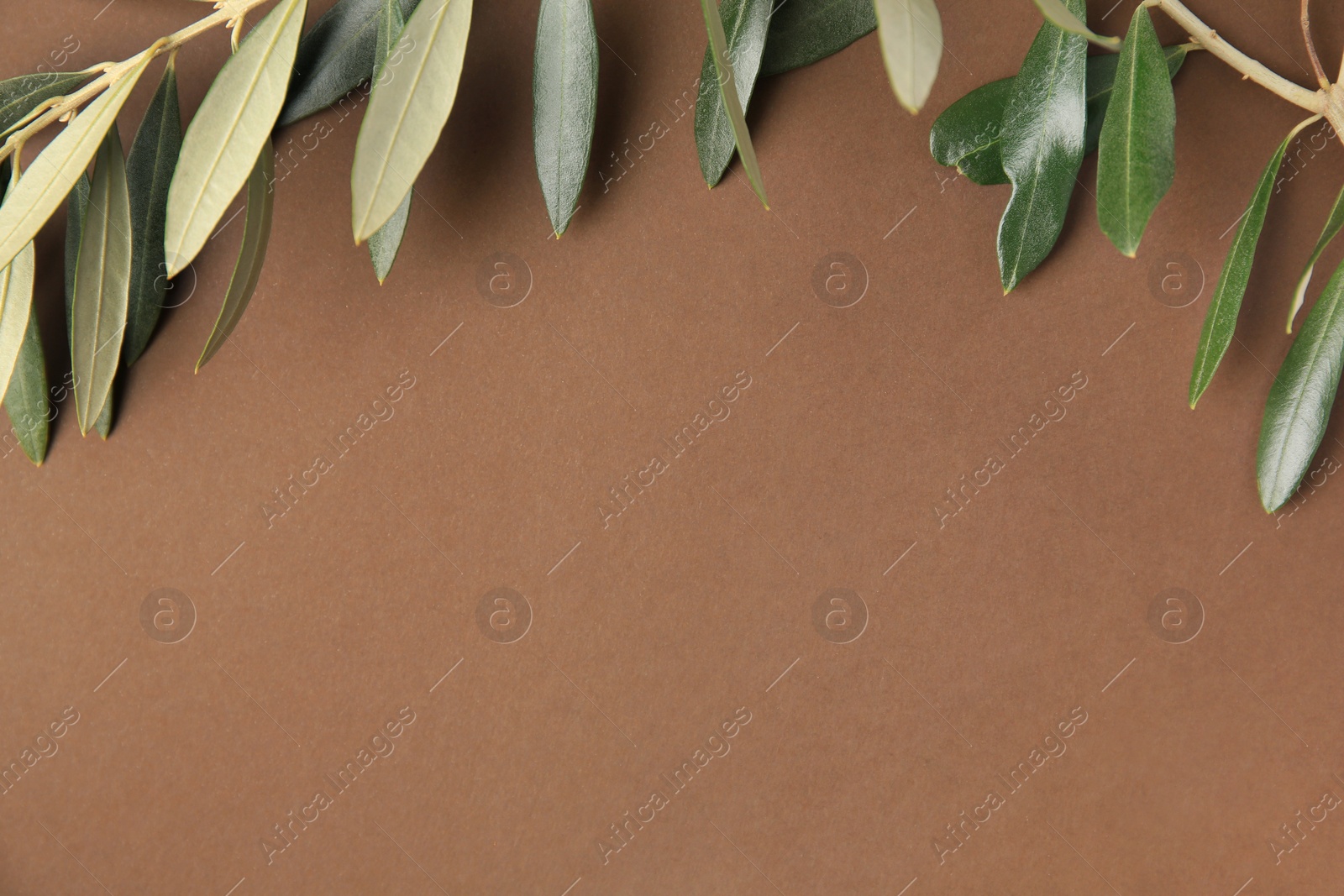 Photo of Twig with fresh green olive leaves on light brown background, top view. Space for text