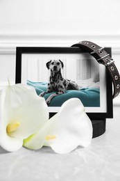 Photo of Frame with picture of dog, collar and calla lily flowers on light grey table. Pet funeral