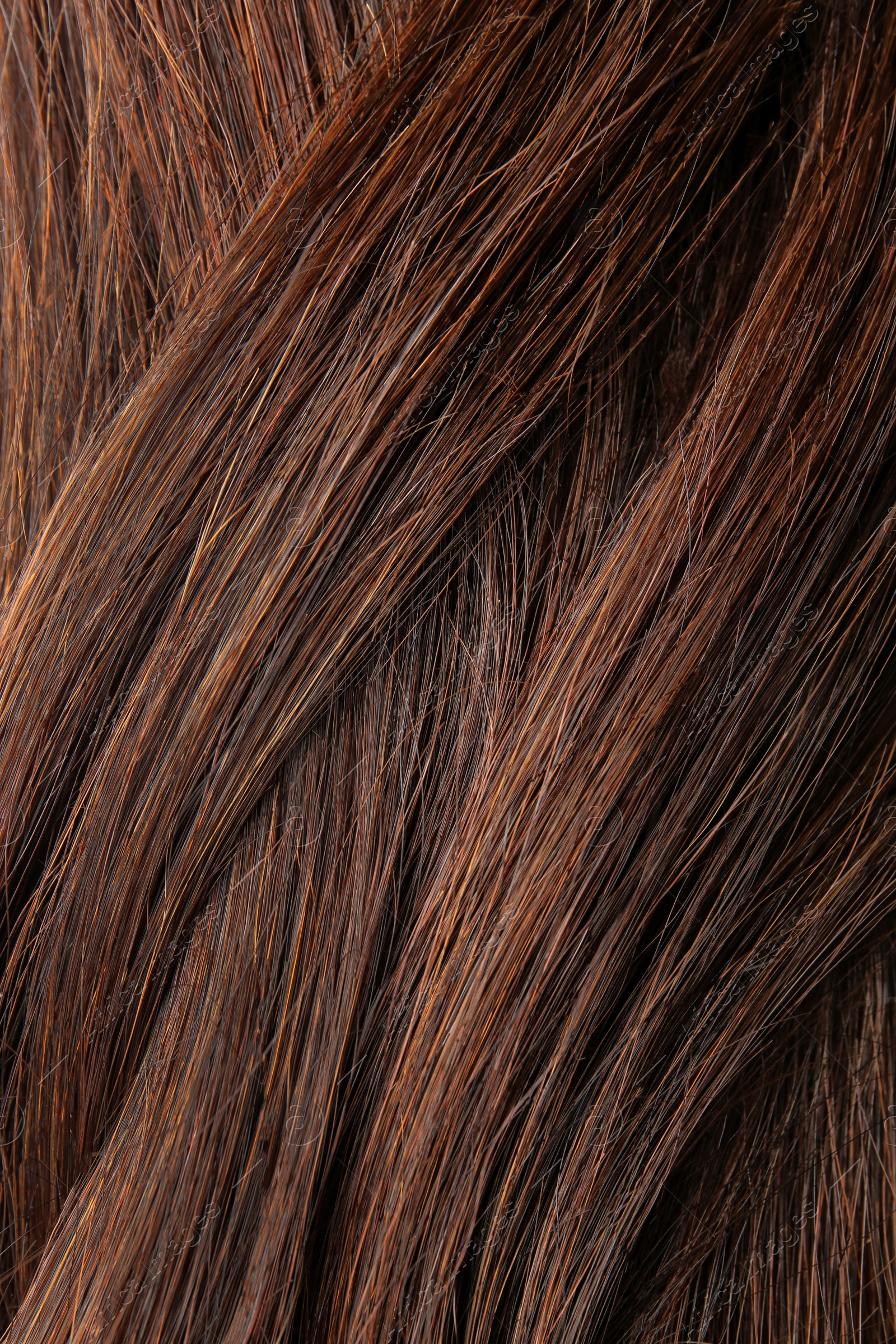 Photo of Texture of healthy brown hair as background, closeup