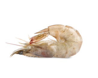 Photo of Fresh raw shrimp isolated on white. Healthy seafood