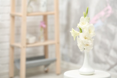 Vase with beautiful gladiolus flowers on table indoors