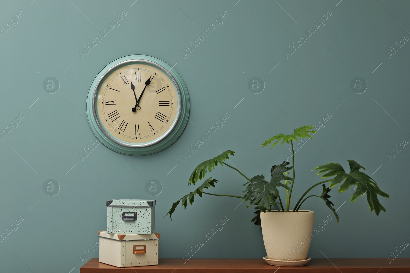 Photo of Office interior with houseplant and clock on wall. Time management