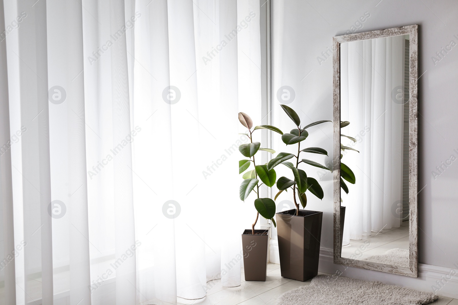 Photo of Large mirror and plants near window in light room