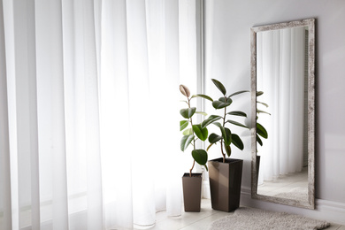 Photo of Large mirror and plants near window in light room