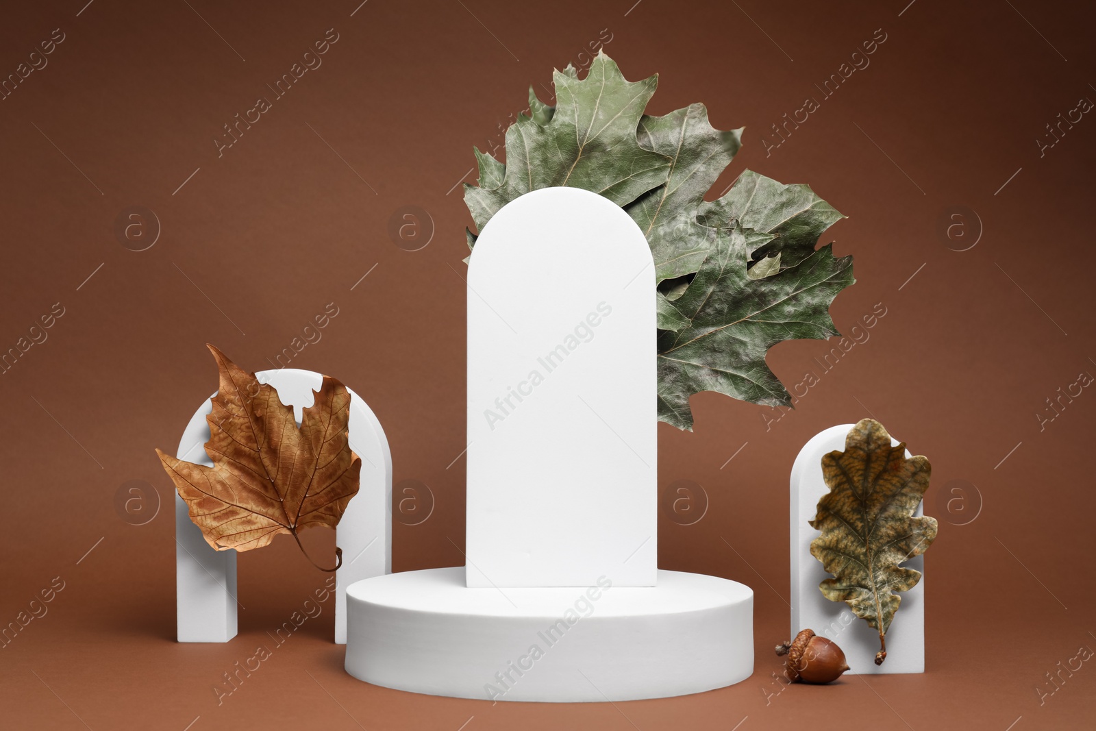 Photo of Autumn presentation for product. White geometric figures, dry leaves and acorn on brown background