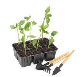 Vegetable seedlings and garden tools isolated on white