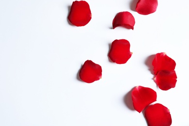 Red rose petals on white background, top view