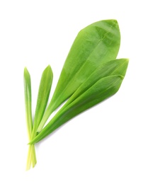 Photo of Leaves of wild garlic or ramson isolated on white, top view