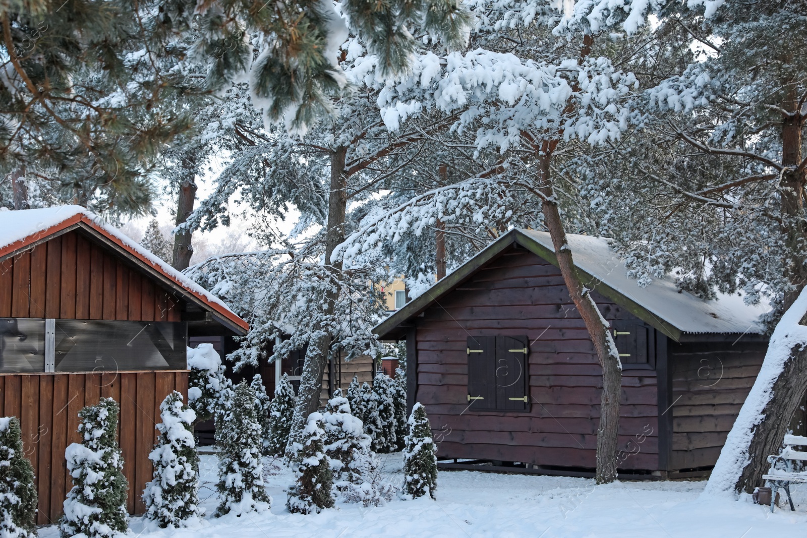 Photo of Winter landscape with beautiful houses, trees and bushes in morning