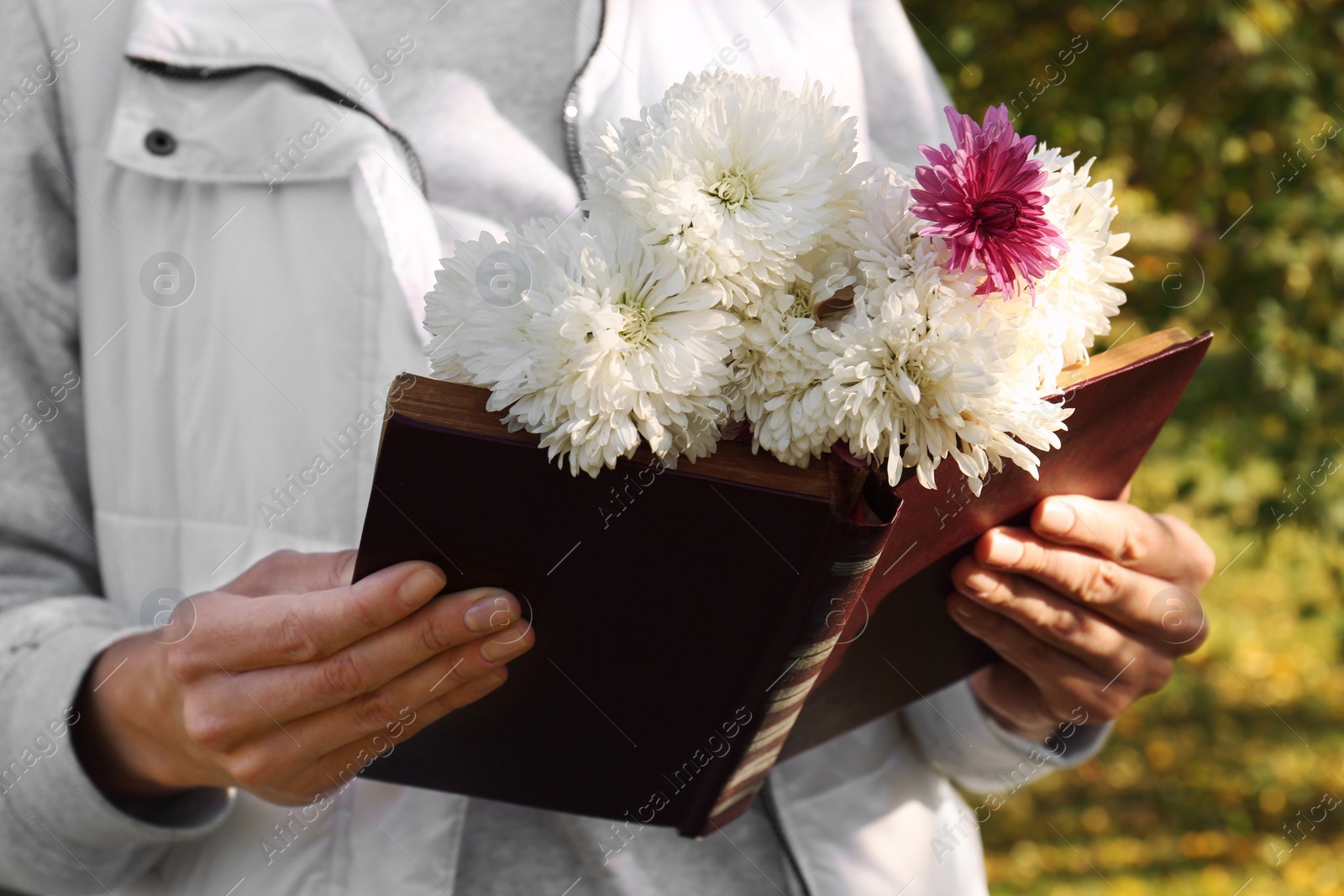 Photo of Woman reading book and holding beautiful flowers outdoors on autumn day, closeup