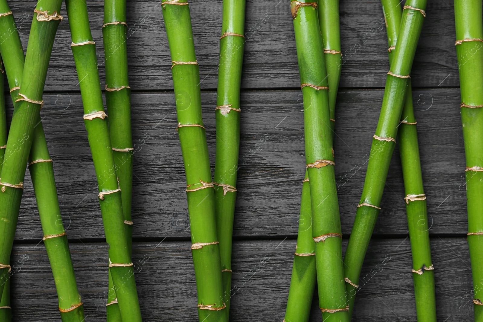 Photo of Green bamboo stems on black wooden background, top view