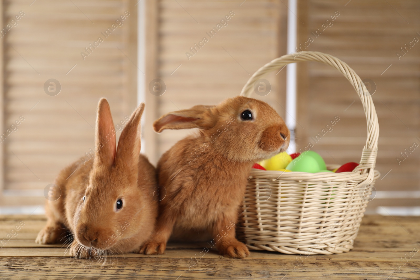 Photo of Cute bunnies and basket with Easter eggs on wooden table against blurred background