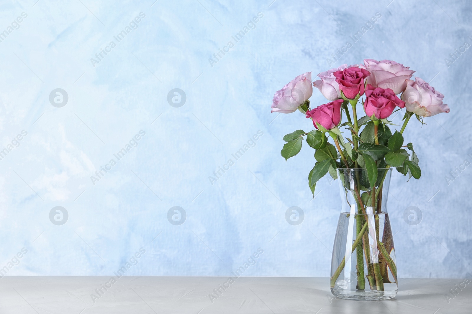 Photo of Beautiful roses in glass vase on light grey table. Space for text