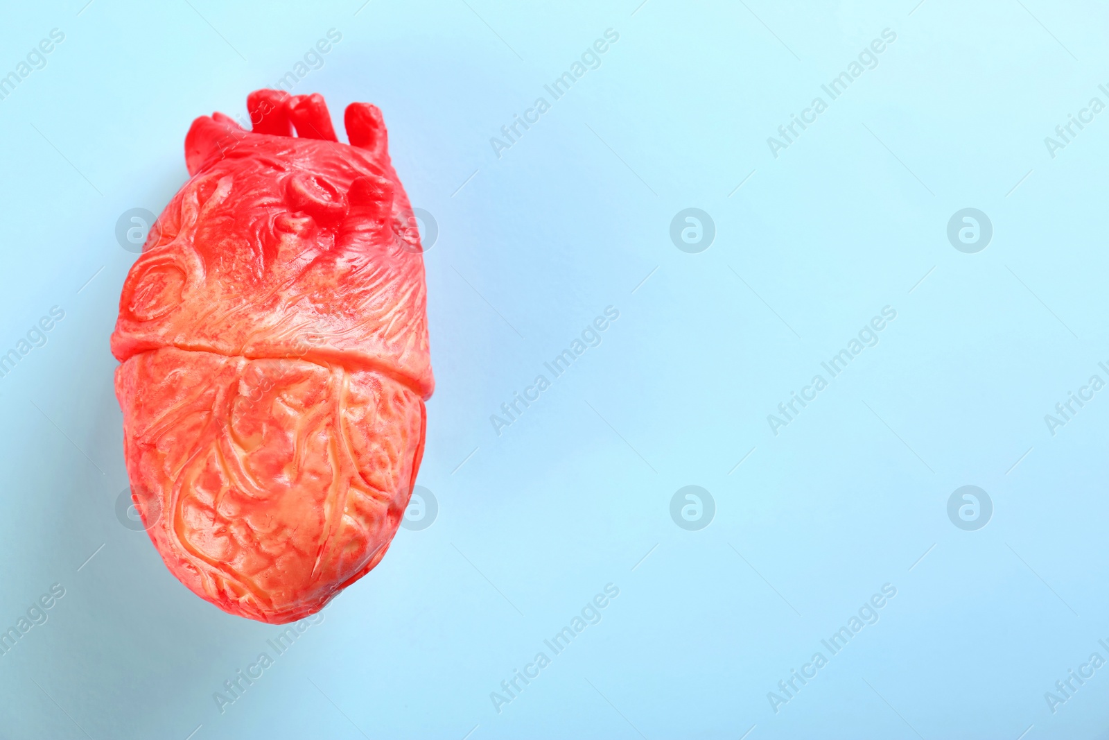 Photo of Model of heart on color background. Heart attack concept