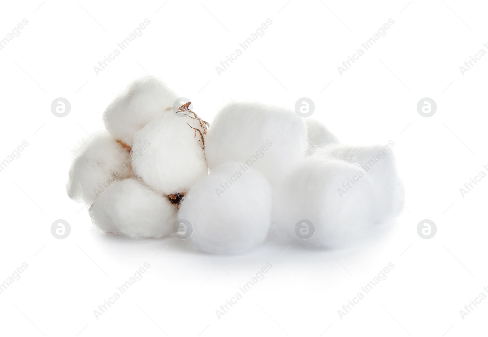 Photo of Balls of fluffy cotton and flower on white background