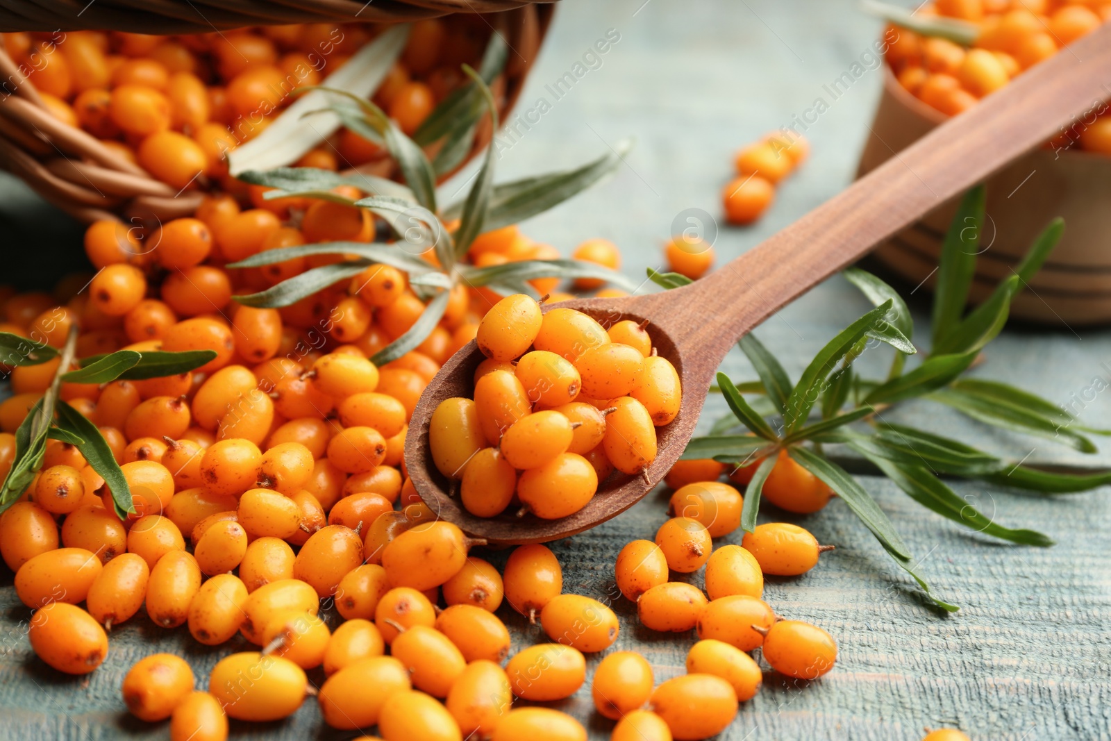 Photo of Ripe sea buckthorn berries on blue wooden table, closeup