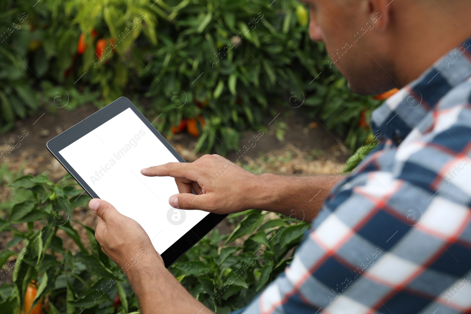 Photo of Man using tablet with blank screen in field, closeup. Agriculture technology