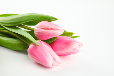 Photo of Beautiful pink spring tulips on white background